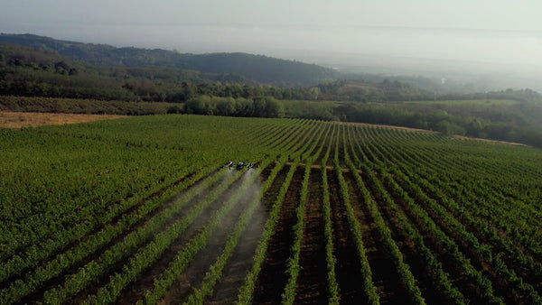 Transforming Vineyard Spraying in Romania with Drone Technology